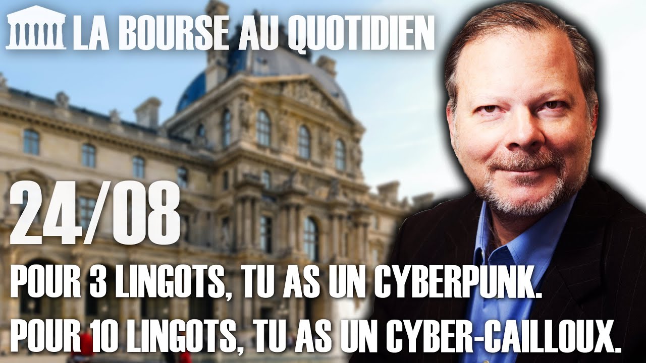 Bourse au Quotidien - Pour 3 lingots, tu as un cyberpunk. Pour 10 lingots, tu as un cyber-cailoux.