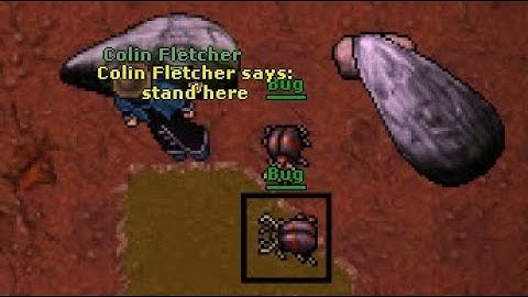 How to stop Rookgaard bugs from disappearing