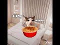 Paling serem sih MLM real 😌👊🏻 cr vt : tiktok #povkucing #rameindongg