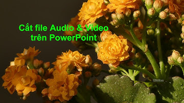 Cắt Audio và Video trực tiếp trên PowerPoint