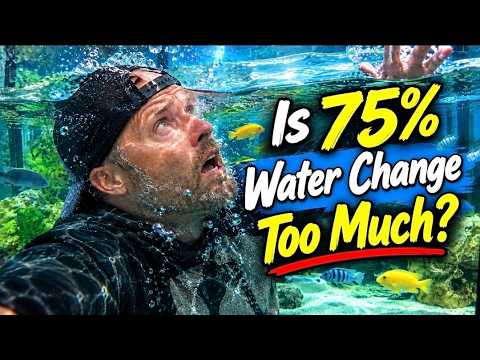 Is a 75% Aquarium Water Change Too Much?