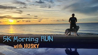 Morning Run w/ Stalin #runningbuddies #agoutihusky #morningrun #fromrussiawithlove #running by SPARTAN ALPHA TV 68 views 1 year ago 1 minute, 17 seconds