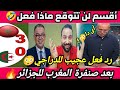الذ ل بعد الزمطة أول رد للدراجى  بعد صنفرة المغرب   للجزائر بعد تعهده بسحق الأسود وربنا لن تتوقع   نجومي