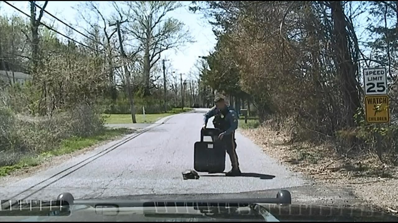 How This Police Officer Used Shield To Help Turtle Cross The Road - YouTube