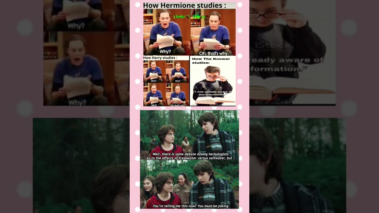 How Hermione Studies vs Harry Potter – Funniest Meme Ever! 😂 