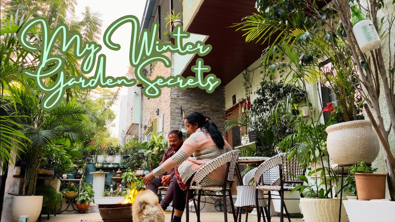 Nothing Fancy Sunday | Calm Home & Winter Garden Routine|| ఇవి మెల్లగా పోషకాలు ఇస్తాయి