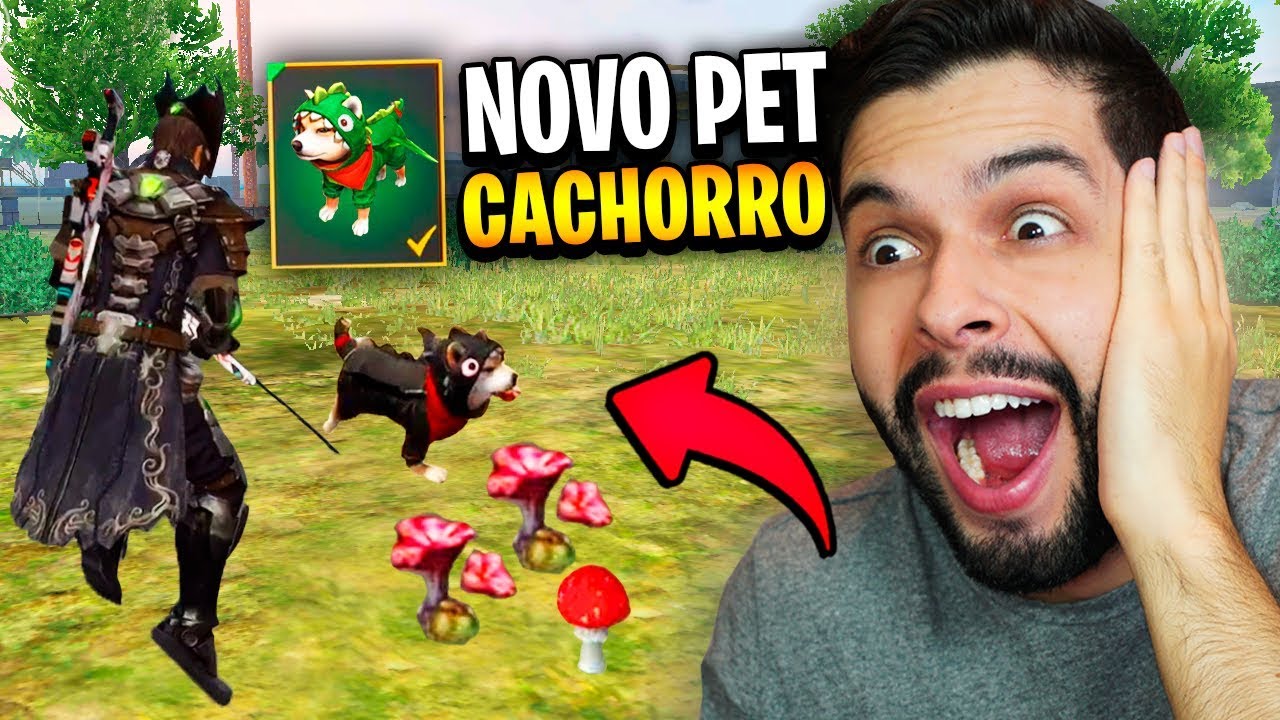 Pet Ludo Free Fire: como jogar novo modo, free fire