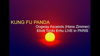 KUNG FU PANDA - Oogway Ascends (Hans Zimmer) Eliott Tordo Erhu LIVE in PARIS