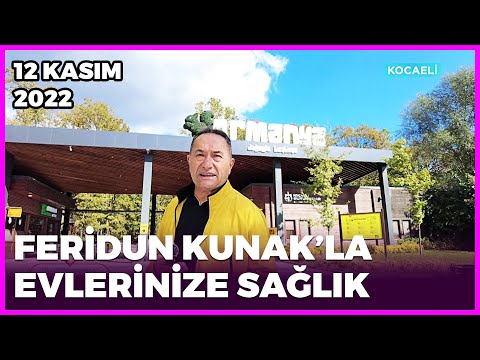 Video: Tatlı Mısır Fideleriyle İlgili Sorunlar: Mısır Fidelerinin Bakımına İlişkin İpuçları