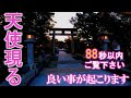 ⚠️強力注意※天使様の姿を見れたらとんでもない強運です。次々と良い事が起こり始めます。もし逃したら二度とありません|夜明けの宗像大社遠隔参拝122