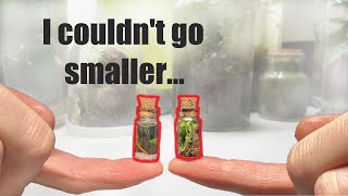 The smallest aquarium and terrarium possible (for me) by glassyGREEN 10,673 views 1 year ago 3 minutes, 28 seconds