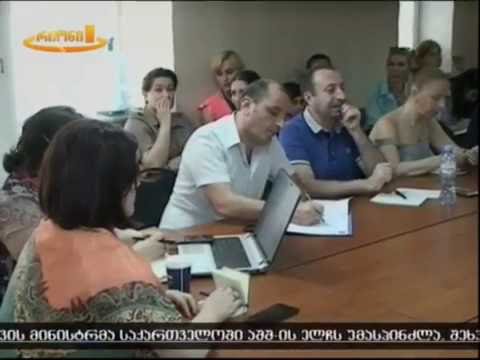 \"ახალი არჩევანის\" შეხვედრა საიას წარმომადგენლებთან