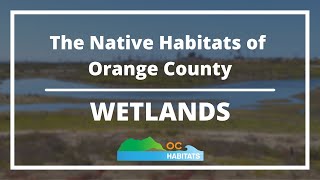 The Native Habitats of Orange County (CA) - Wetlands