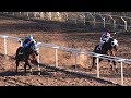 YETI VS JUAN SIN MIEDO | CARRERAS DE CABALLOS | DE LA GARZA PHOTOFINISH