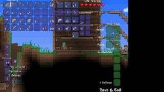Guide to Terraria -  NPC's - Nurse