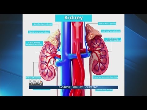 Doctor discusses relationship between heart and kidneys