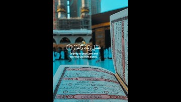 {سورة الكوثر} القارئ عبدالرحمن مسعد تلاوة هادئة