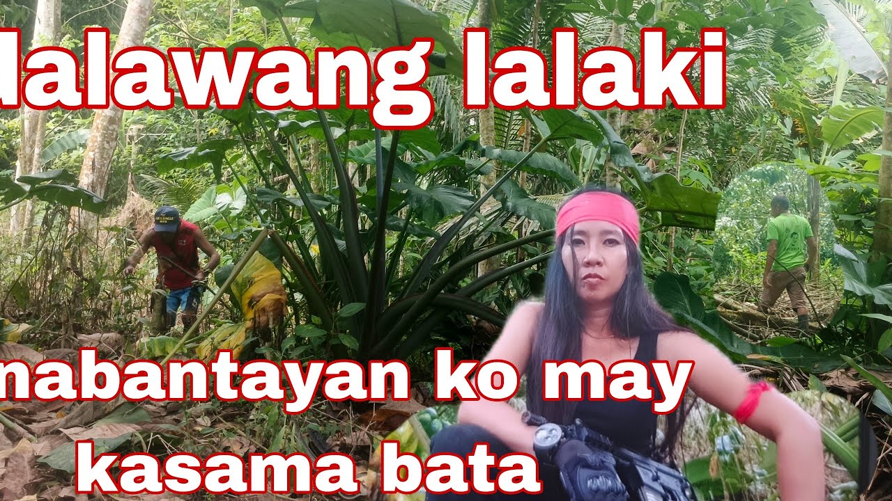 Mabuti nakita ko na paparating sila  saakin naka tago ako#kritikal #viralvideo