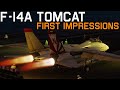 DCS F-14A Tomcat First Flight & First Impressions!