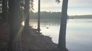 Rest area. South Carolina