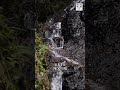 滝又の滝＜Takimata Waterfall＞ 京都いいとこ動画 #shorts