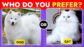 Pick one kick one | Dogs vs Cats: Pick Your Side!😲#pickonekickone