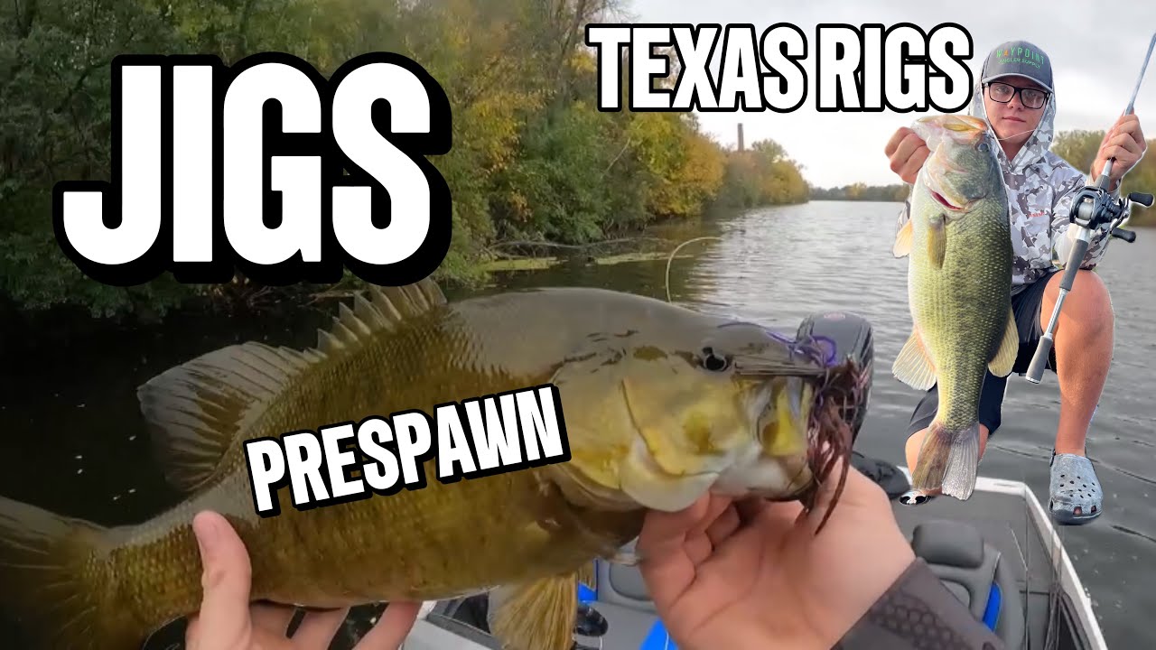 How to catch GIANT prespawn BASS using Jigs and Texas rigs! 