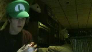 What is Luigi's Pokeball