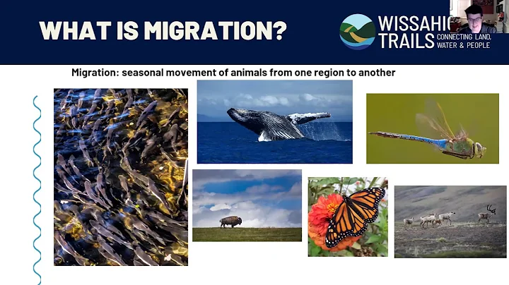 All About Migration