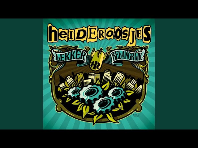 Heideroosjes - Lekker Belangrijk akkoorden