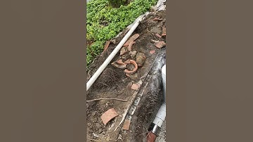 Sewer Line Clean Out FINISHED - Residential Plumbing - Wilmette Illinois - Rescue Plumbing
