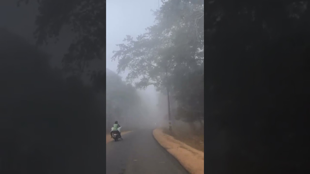 Morning Fog #yt #viralvideo#viral #song #voice #melody #environment #fog