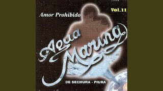 Migajas de Amor