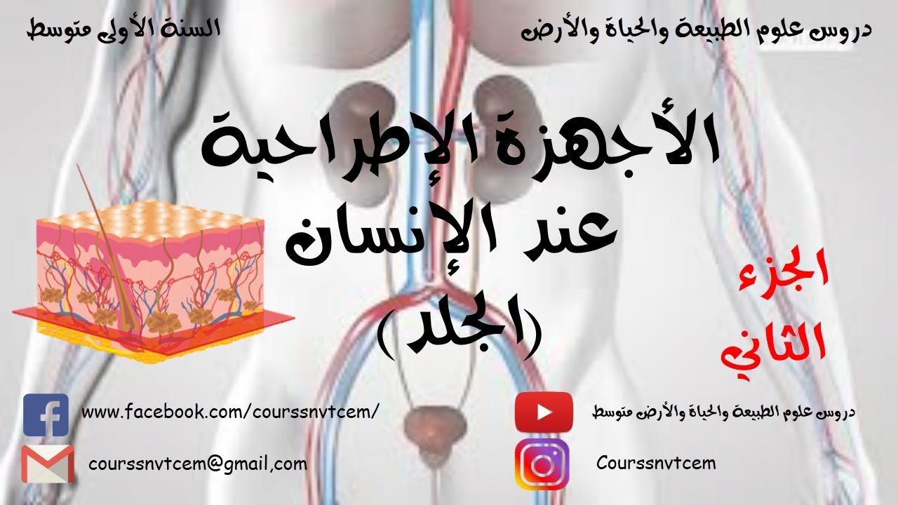 الدرس: علوم الطبيعة والحياة والأرض السنة الأولى متوسط ، الأجهزة الإطراحية (الجلد)