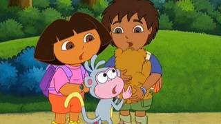 Dora the Explorer S03E10 Meet Diego