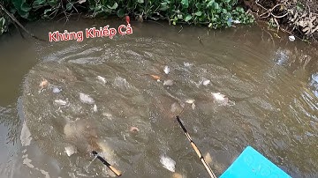 Những Đàn Cá Khủng Khiếp Đen Con Ở Những Cái Cống Lớn | Kích Cá Miền Tây | Catch Fish