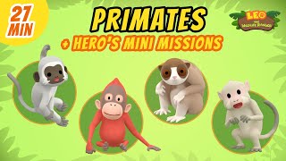 Primates - Junior Rangers and Hero's Animals Adventure | Educational | Leo the Wildlife Ranger