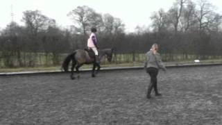 A&Z|Flatwork lesson