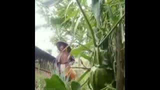 Lugowo Wang Lesin Noayni Daiding Siwngsi We E E