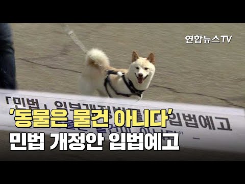'동물은 물건 아니다' 민법 개정안 입법예고 / 연합뉴스TV (YonhapnewsTV)