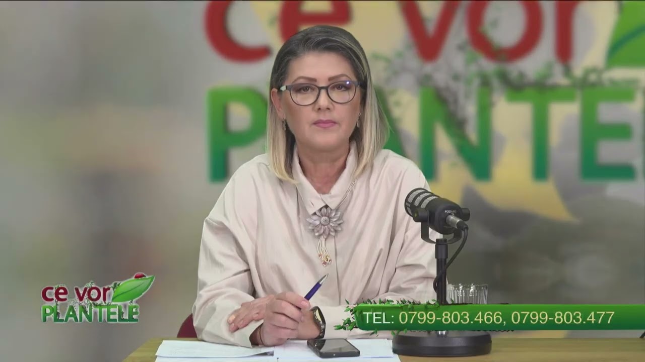 CE VOR PLANTELE CHRISTINA GHIBU  P1 16.02.2026