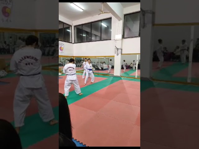 Chiara, Tim, Andrea e Gennaro 6° Taeguk