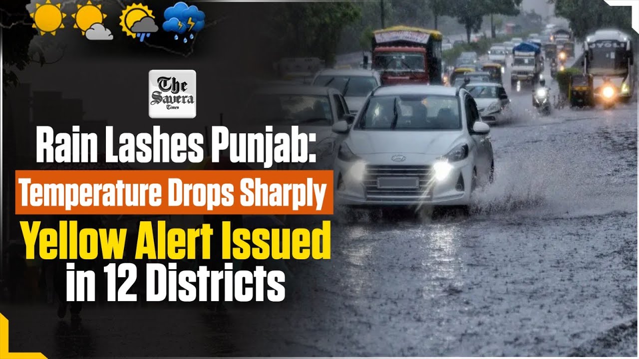 LIVE : Rain Lashes Punjab: Temperature Drops Sharply, Yellow Alert Issued in 12 Districts