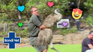 Who Knew Emus Were So CUDDLY?!  | Full Episode | The Wild Life of Tim Faulkner