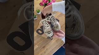 IMG 3686