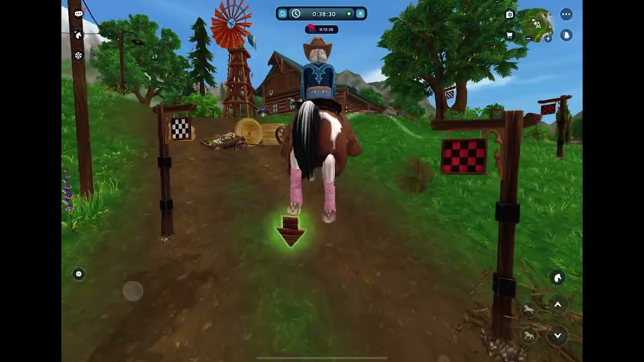 Playing star stable