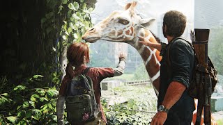 The Last of Us 2 outdoes the first game's giraffe scene - Polygon