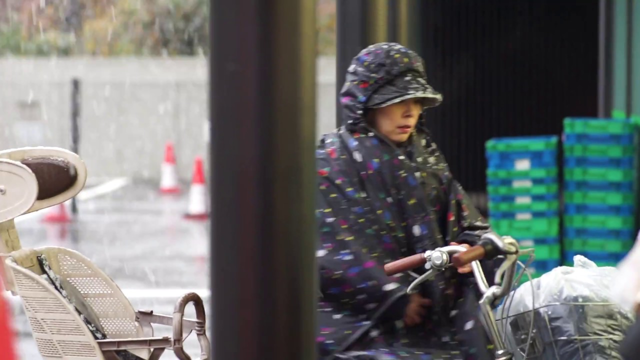 Tokyo Snow November 24, 2016