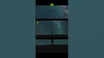 You Never Actually Die? The Shocking Quantum Physics of Consciousness Quantum Immortality Explained
