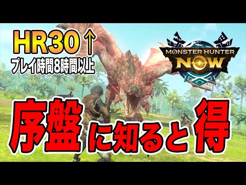 【モンハンnow】HR30が話す！序盤知っておくと得すること。【モンハンナウ】【モンスターハンターナウ】【MHNOW】